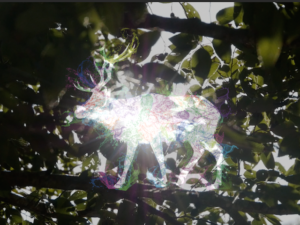 L...DEEP open air 2018